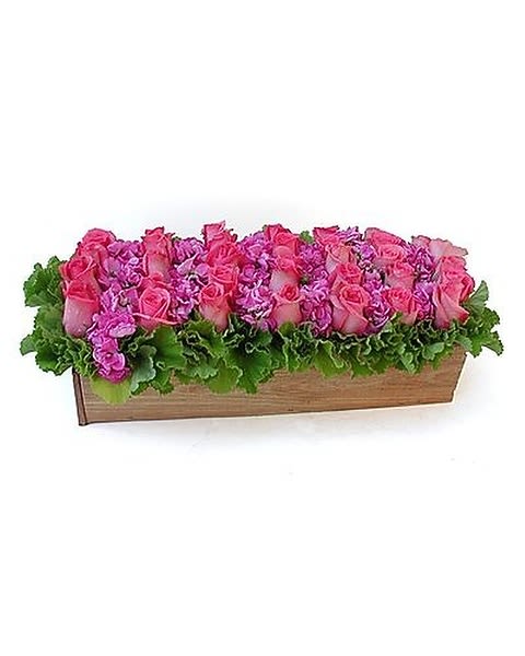 Sweet Pave - Premium South American roses arranged as a "carpet" of flowers in a rectangular wooden box with accent flowers and greens. Simple and modern, always a stunning display. 