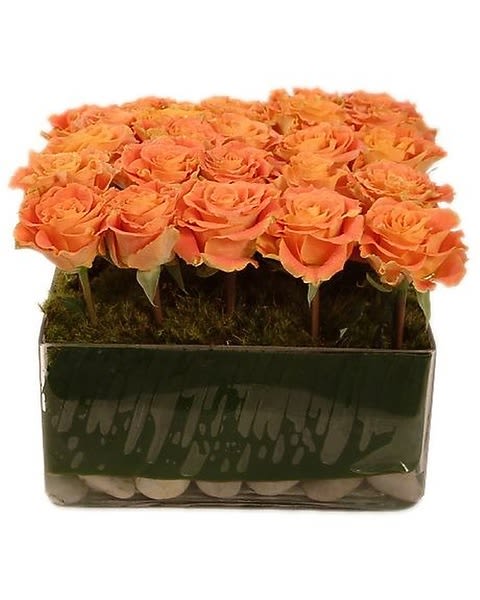 Tangerine - Twenty roses designed in a Topiary in a cube with moss designed is a perfect contemporary gift for anyone on any occasion. 