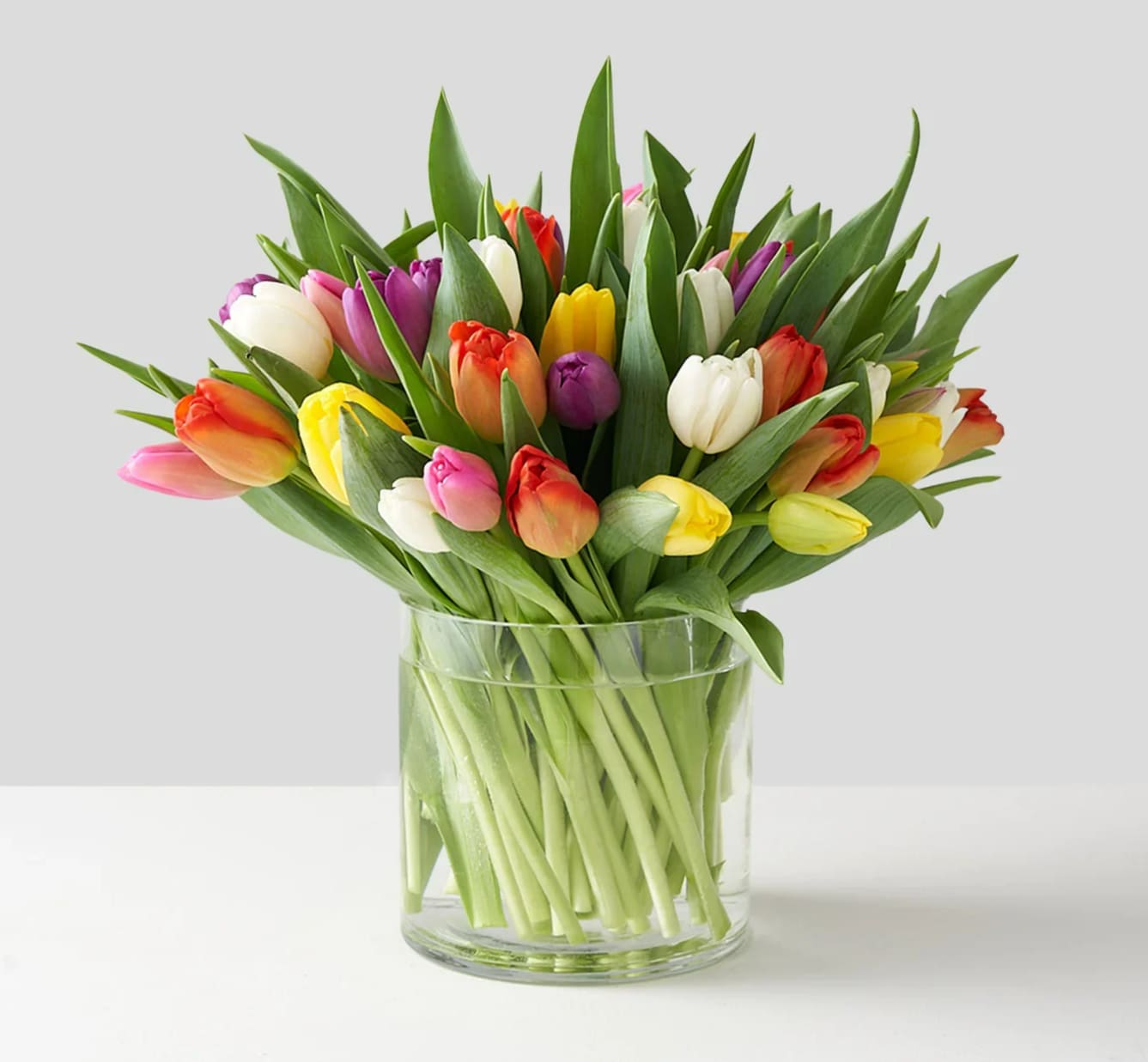Colorful tulips arranged in a clear glass vase