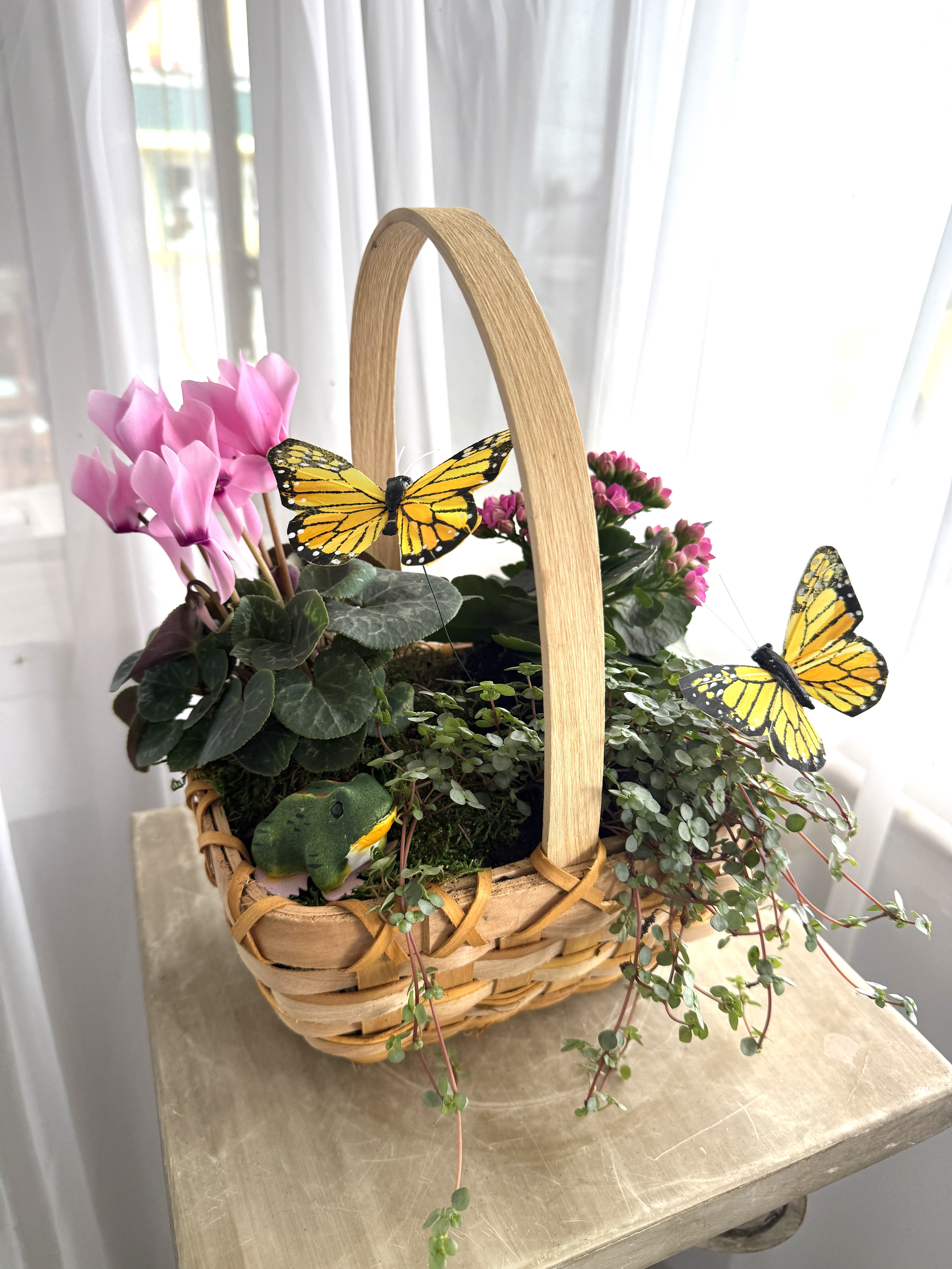 Perfect Mother's Day Blooming Basket - Delightful gift to impress your mother! A basket with colorful indoor plants, and butterflies buzzing about.