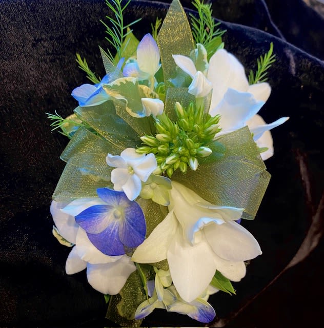 white corsage, with blue - Choose a pure white orchid wrist corsage and customize it with blue accent flowers.  We show periwinkle blue delphinium and seeded eucalyptus with a sage green chiffon bow.  Lovely! 