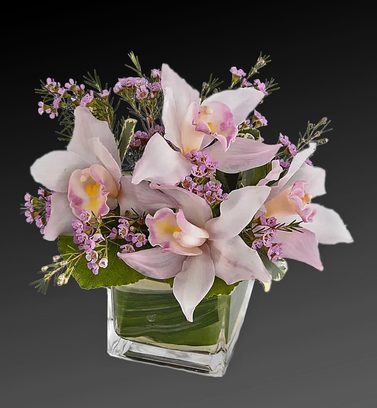 Pink orchids arranged in a clear square vase