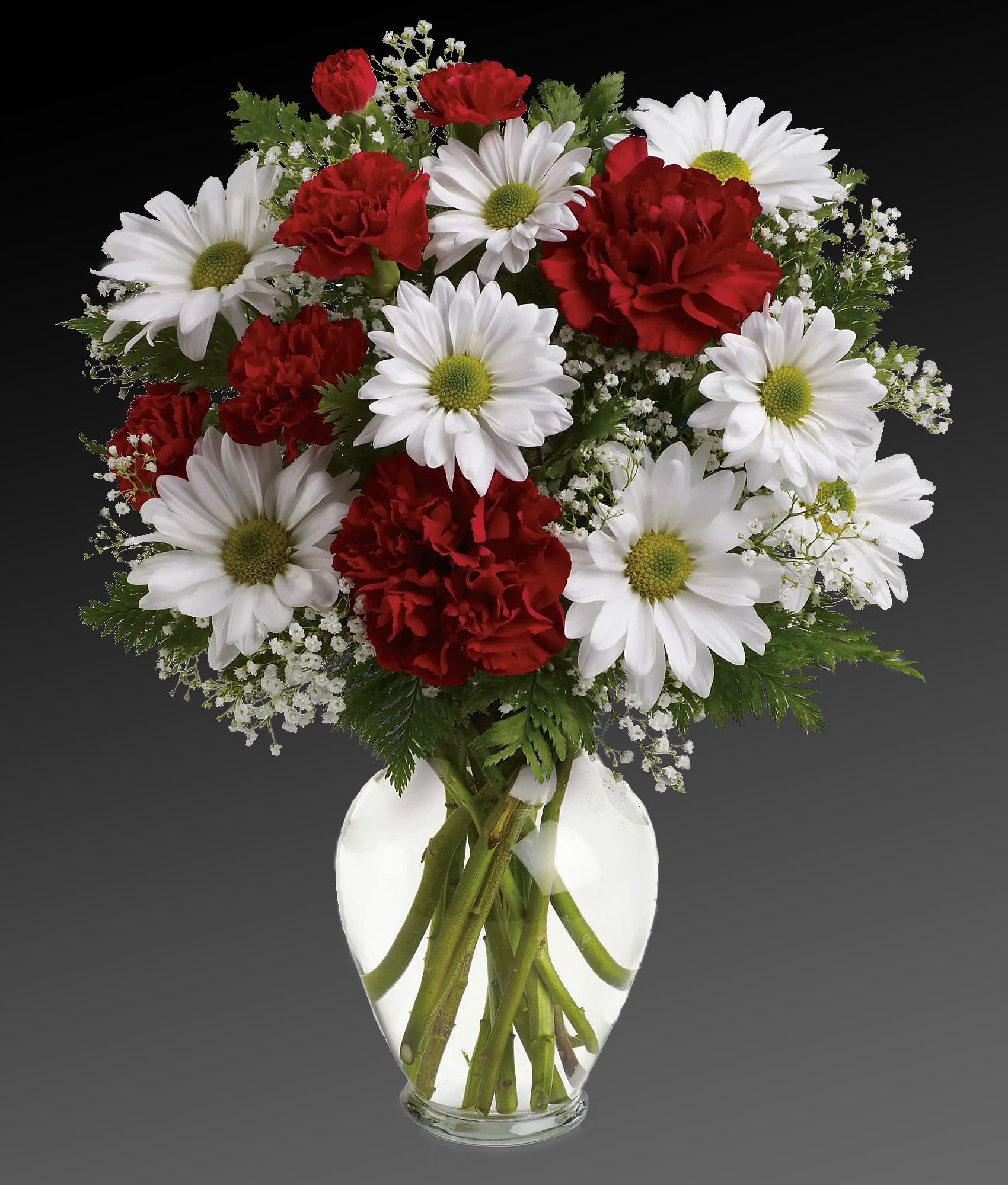Red carnations and white daisies arranged in a clear glass vase