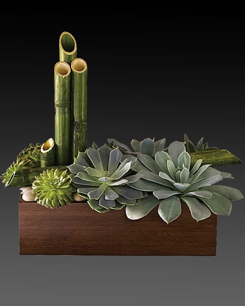 Succulent arrangement in a wooden box with bamboo stalks