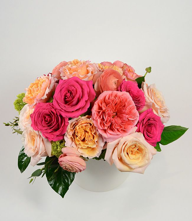 Rose Garden No.9 - A lush cluster of garden roses, ranunculus and classic roses in soft pink, peach, cream and pops of bright fuchsia-this flower arrangement is a romantic birthday bouquet, anniversary gift, or Mother's Day surprise that reads joyful and polished the moment it's seen. The rounded, compact design makes a confident centerpiece that says "you are celebrated" to the person you're thinking of, whether it's a thank-you, a just-because pick-me-up, or a note of love and romance.  Dense, layered blooms create a full, textured look-large garden rose heads and ruffled ranunculus-like flowers nestle among carnations and traditional roses, all framed by glossy green foliage. The arrangement is presented in a simple white vase that highlights the coral, blush and cream tones while keeping the overall presentation clean and modern. Its low, rounded shape works well on tabletops and desks and makes an elegant, long-lasting statement for any celebratory moment.