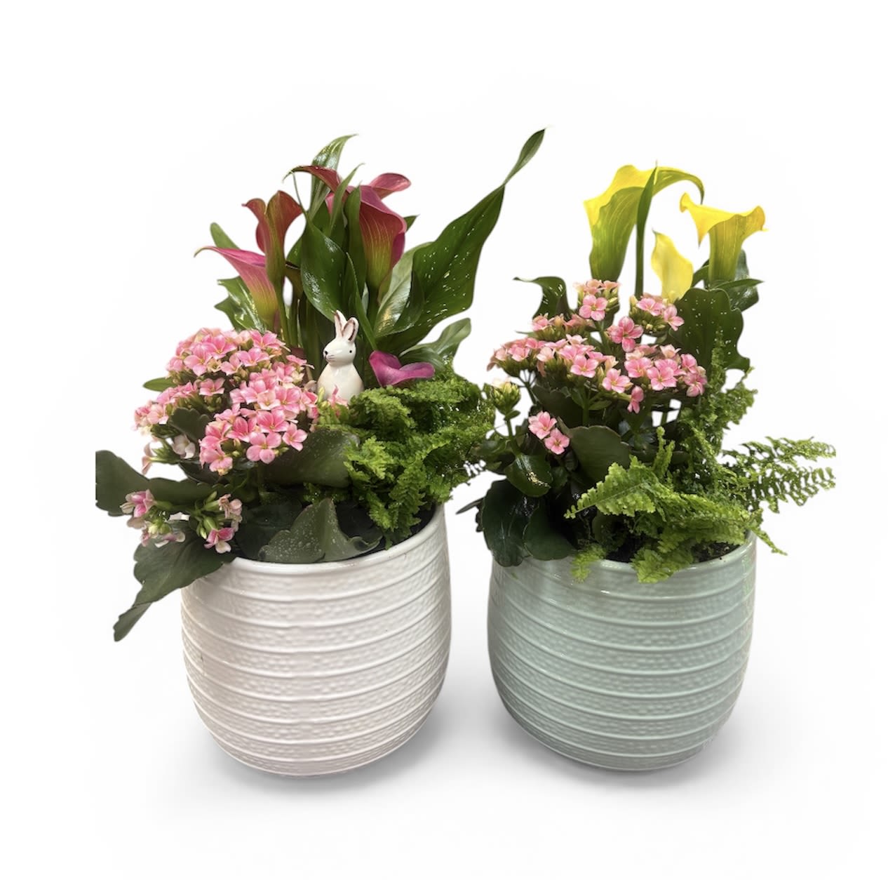 Blooming Spring Garden - Assorted spring blooms dish garden in 6in pot.  Choose one or the other.