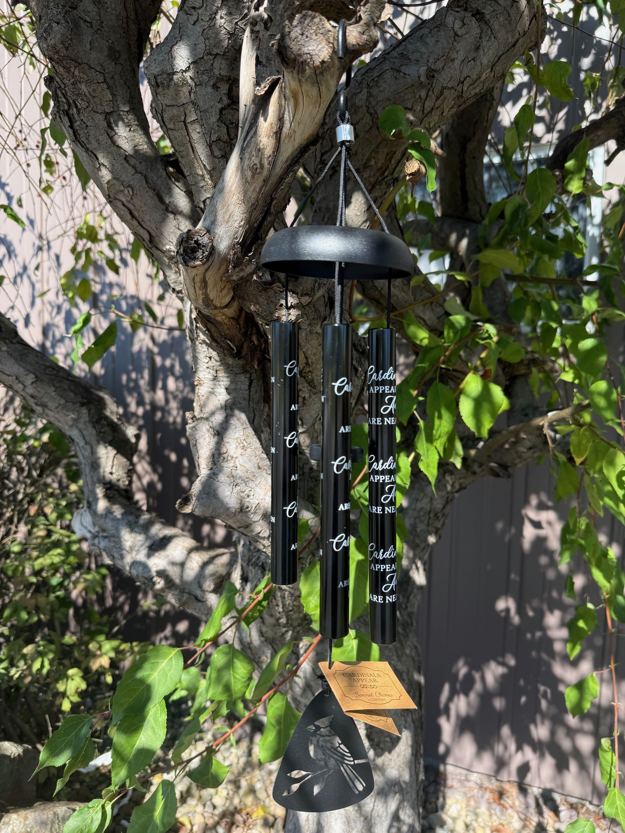 Black memorial wind chime hanging from a tree branch