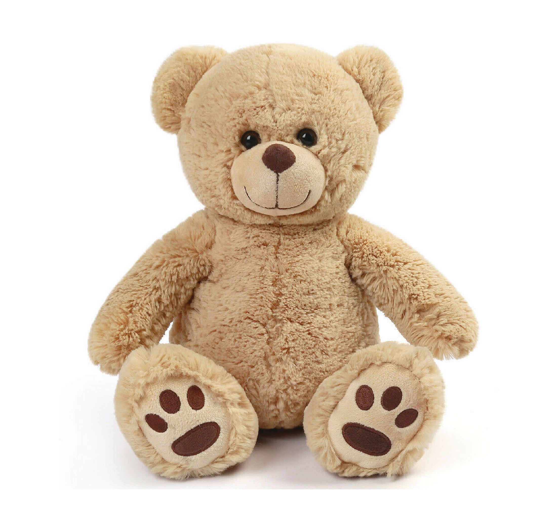 Plush teddy bear sitting upright on a white background