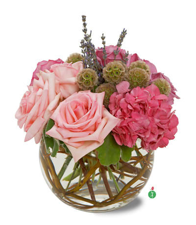 Pink roses and hydrangeas arranged in a round glass vase