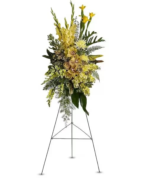 Sunshine Spray - A brilliant burst of blooms in glowing shades of yellow and bronze will bring warm thoughts of a sunny soul that's departed. A standing spray of fresh yellow and bronze flowers such as Cymbidium orchids, iris, gladioli, snapdragons and stock - accented with greenery and delivered on an easel creates a bright display at any tribute or occasion of remembrance. 