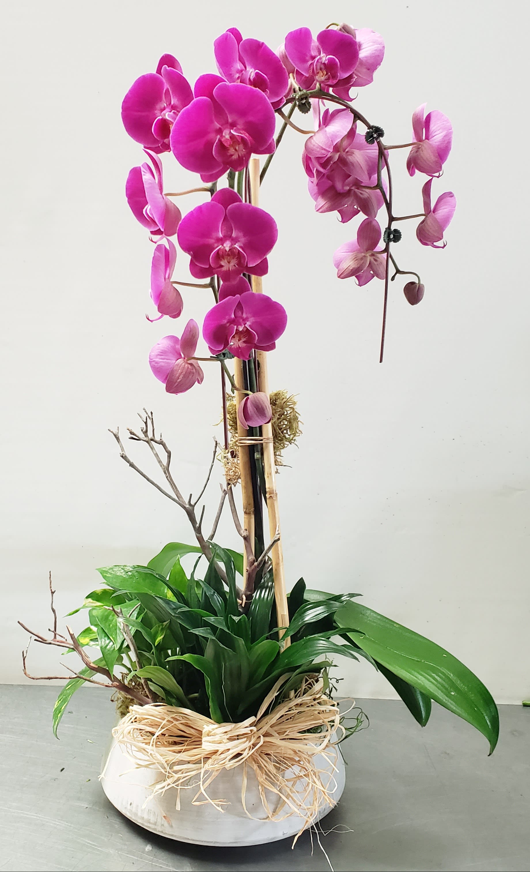 Purple Orchid Delight - 30in h x 12in w