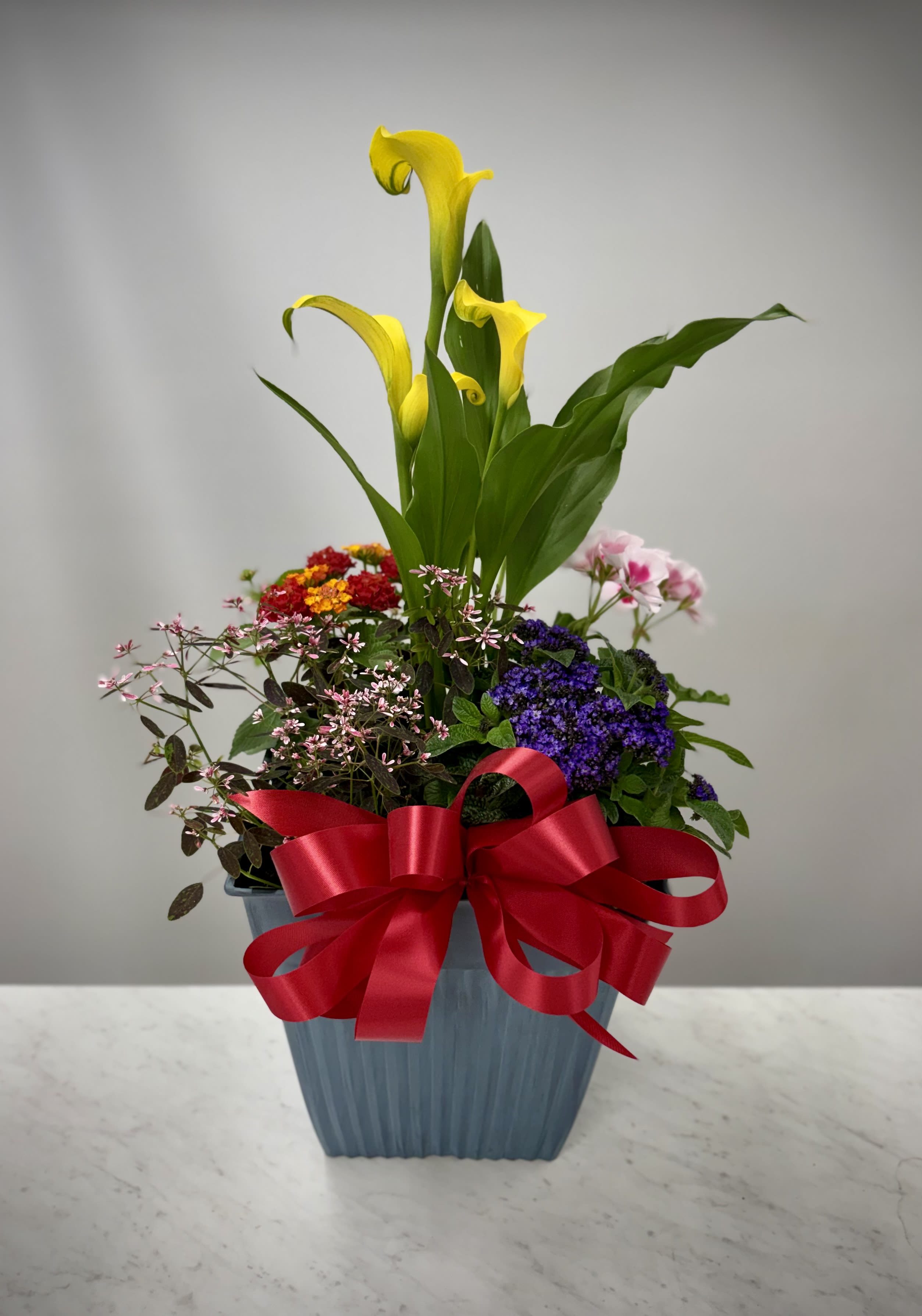 Mother's Day - Large Long Lasting Pot - Make sure mom knows that your love goes beyond a single holiday brunch. Tell her you care all summer with a long-lasting pot of beautiful flowering varietal plants.