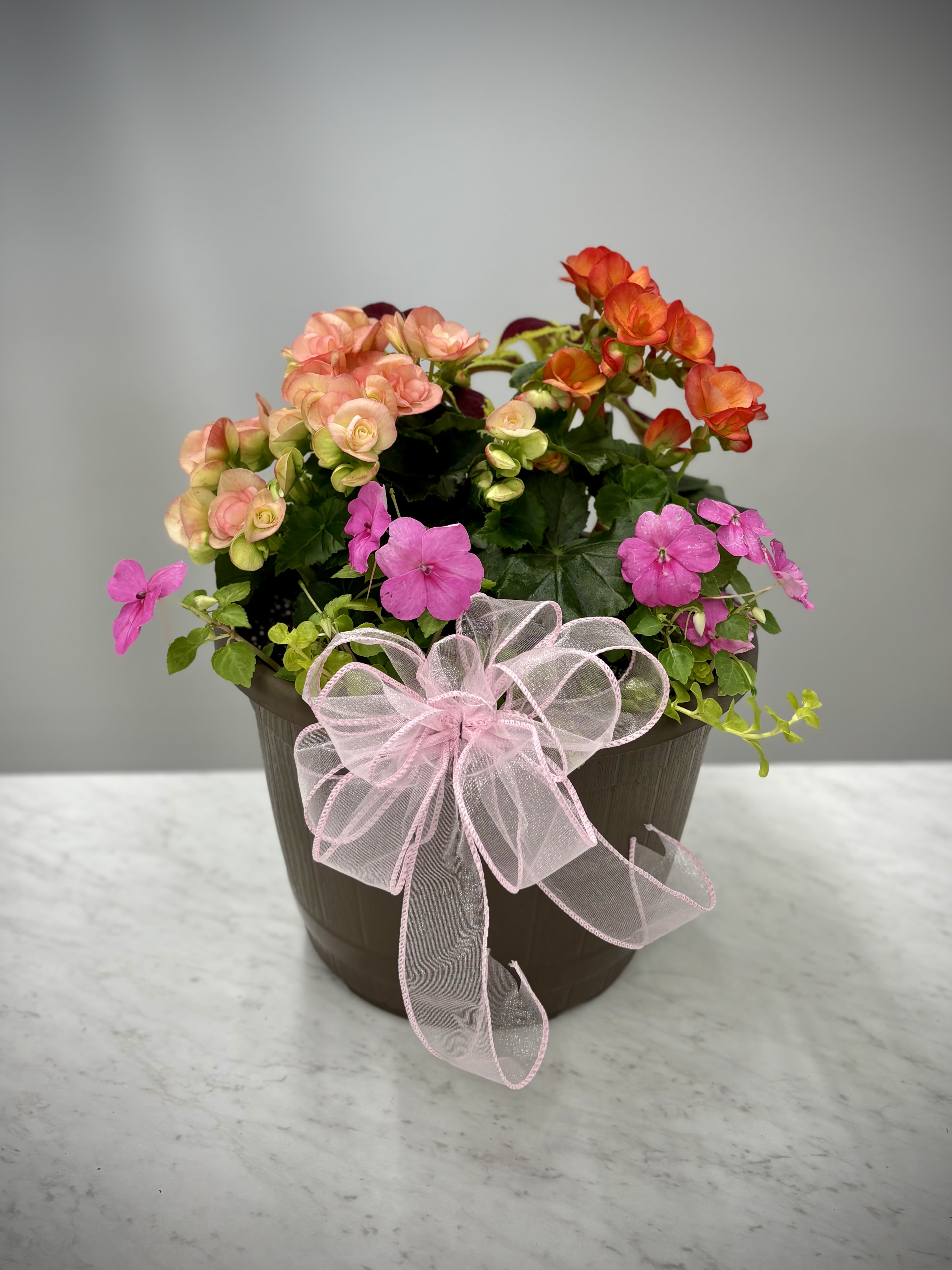 Mother's Day - Medium Long Lasting Pot - Make sure mom knows your love goes beyond a single holiday. Remind her that you care all summer with these long-lasting pots of assorted flowering plants.