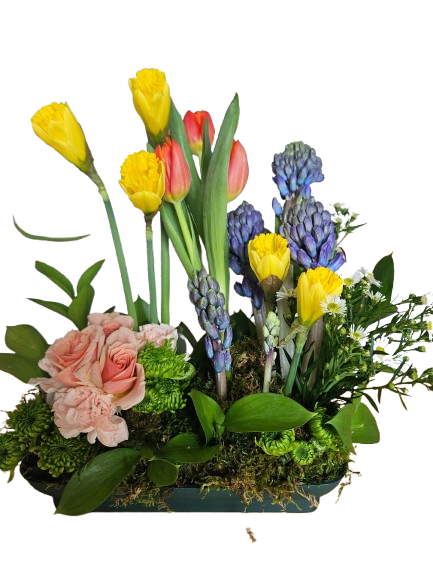 Spring Bulb Blossom Garden - A cheerful European-style bulb garden filled with vibrant tulips, fragrant hyacinths, sunny yellow blooms, soft blush roses, and lush moss accents. Planted in a low keepsake container, Spring Bulb Blossom Garden brings the beauty of a fresh spring meadow indoors and makes a charming gift for any occasion.