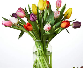 Assorted Tulips - 15 stems of assorted tulips to send your family member, friend or love a beautiful bundle of tulips on a special occasion or just because.
