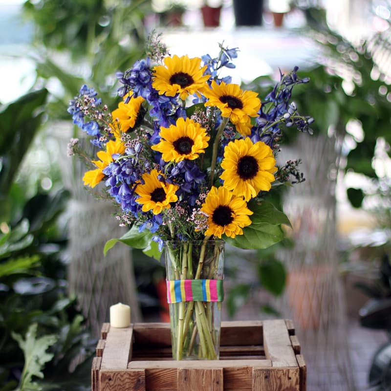 Sunburst (Container may vary) - Sunflowers and blue delphinium arranged in a clear vase with greenery.