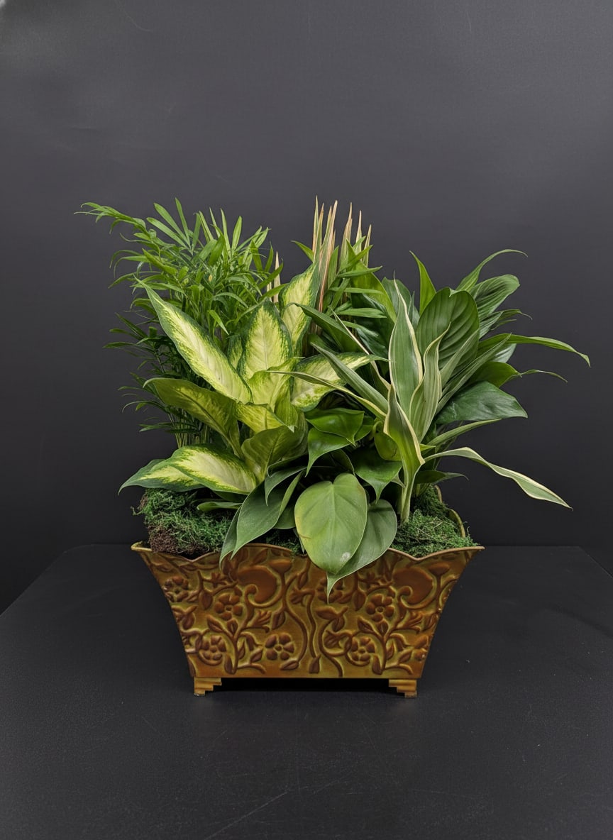 Mixed green houseplants arranged in a decorative planter