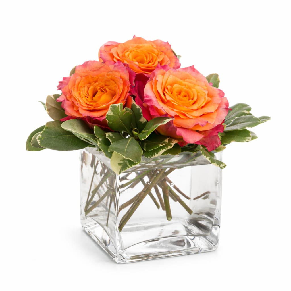 Orange roses in a clear square glass vase