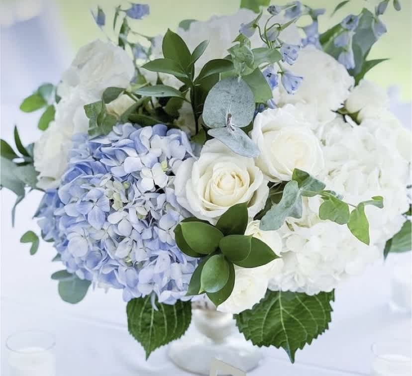 White roses and blue hydrangeas in a low bouquet with greenery