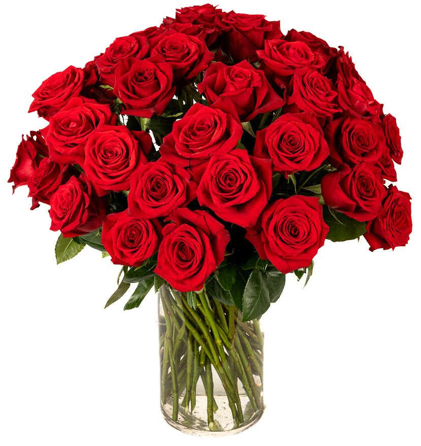 Large arrangement of long-stem red roses in a clear glass cylinder vase