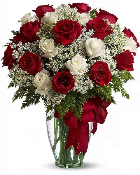 Love's Divine Bouquet - Long Stemmed Roses - Love's divine, and roses are too. At almost two feet tall, this beautiful mix of red and white roses - accented with Queen Anne's Lace, and adorned with a bold red ribbon - is a timeless gift for your beloved.  Standard 24 roses Deluxe 30 roses Premium 36 roses Red and white roses accented with Queen Anne's lace and more are delivered in a glass vase accented with a red satin ribbon.  Approximately 18" W x 23" H   