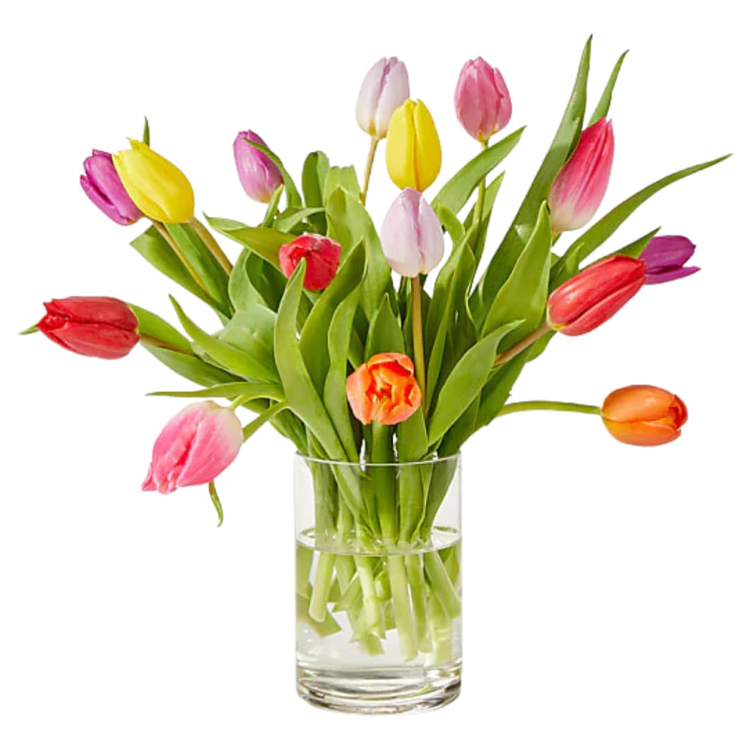 Tulip Lane - The stem of the season, these assorted tulips are a colorful way to usher in the spring season and share in any of life's moments.