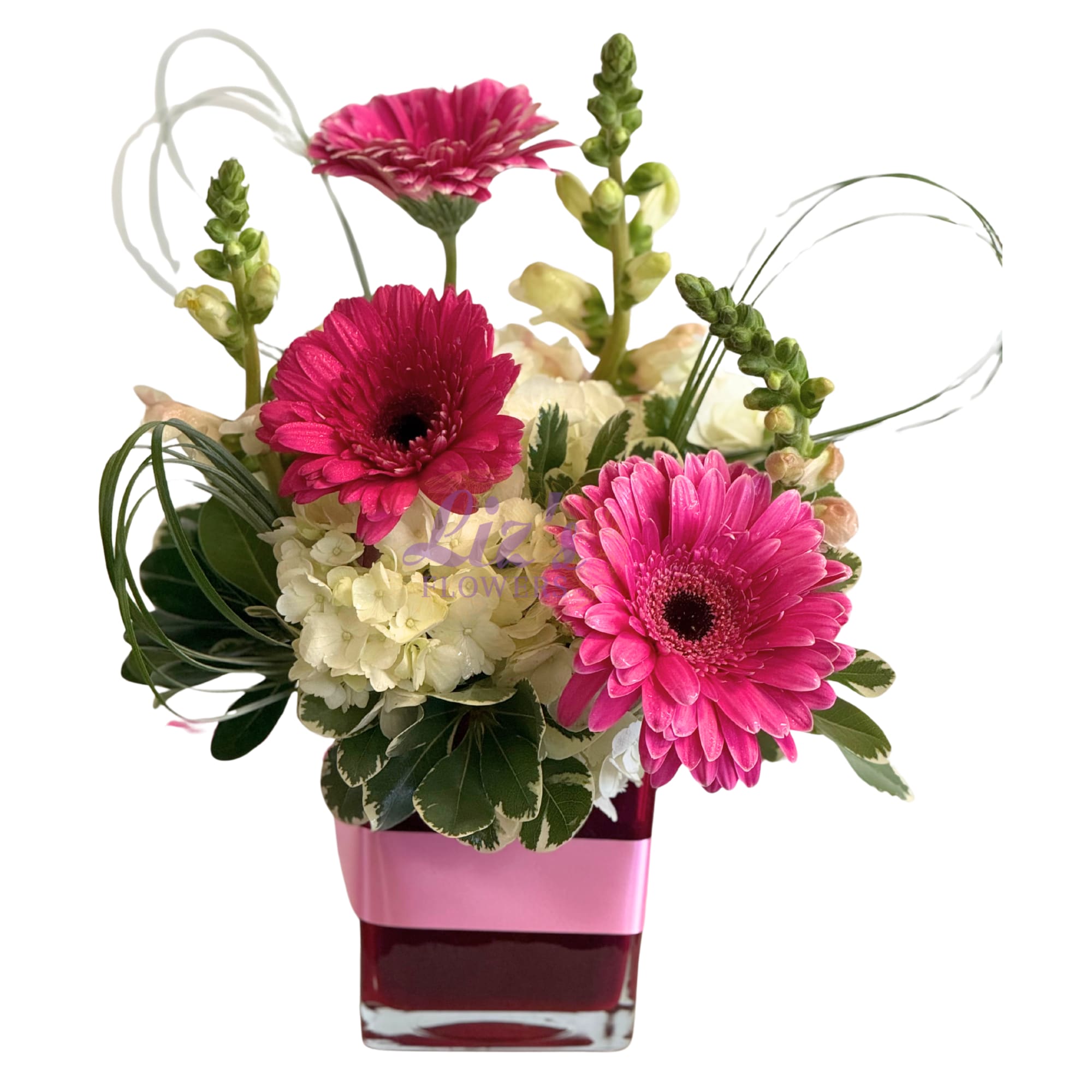 Pink Sorbet Cube - Featuring bold magenta Gerberas and crisp white Hydrangeas, this arrangement is accented with variegated greenery and elegant loops of lily grass finished with a decorative pink ribbon in a glass cube vase.