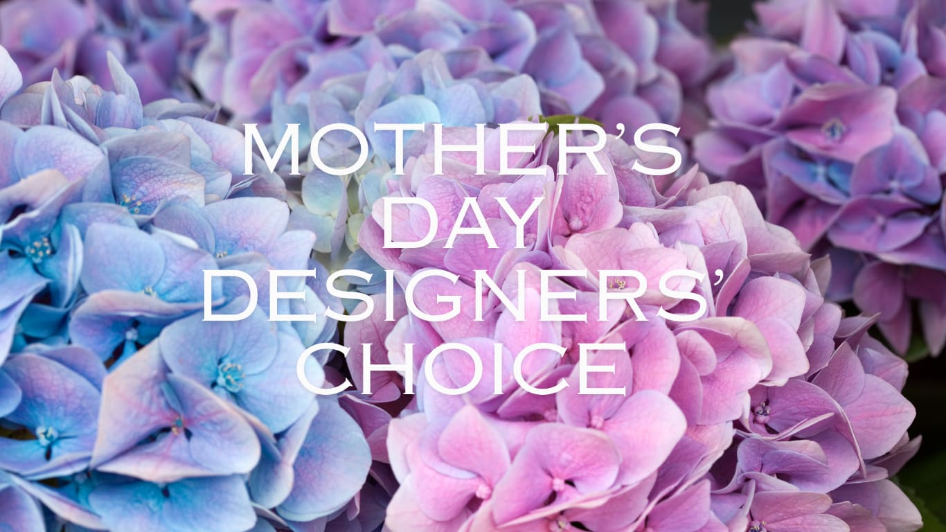 Mother's Day Designer's Choice  - Leave it to our team of designer's to create a beautiful, one-of-a kind arrangement using the freshest seasonal blooms in our signature Sweetbay style. Thoughtfully designed with color, texture and love - perfect for celebrating Mom. 