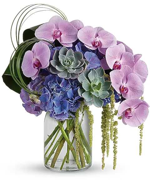Exquisite Elegance Bouquet - Truly exquisite, this uniquely sculptural bouquet of pale purple orchids, silvery succulents and deep purple hydrangea adds artistic elegance to any event! This eye-catching bouquet features purple hydrangea, lavender phalaenopsis spray orchids, hanging green amaranthus, bear grass, green ti leaves, and large green echeveria succulents. Delivered in a clear milk jug vase.  
