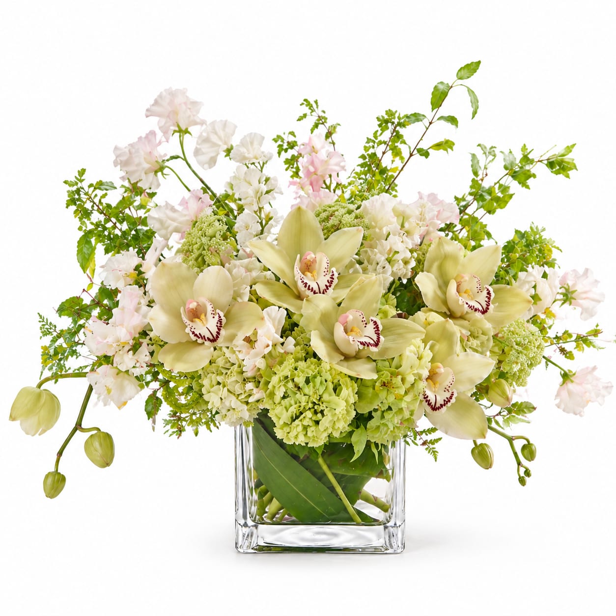 Cymbidium Orchid Cube - An elegant, garden-inspired arrangement featuring soft green cymbidium orchids paired with lush hydrangea and delicate seasonal blooms in a clear glass cube.
