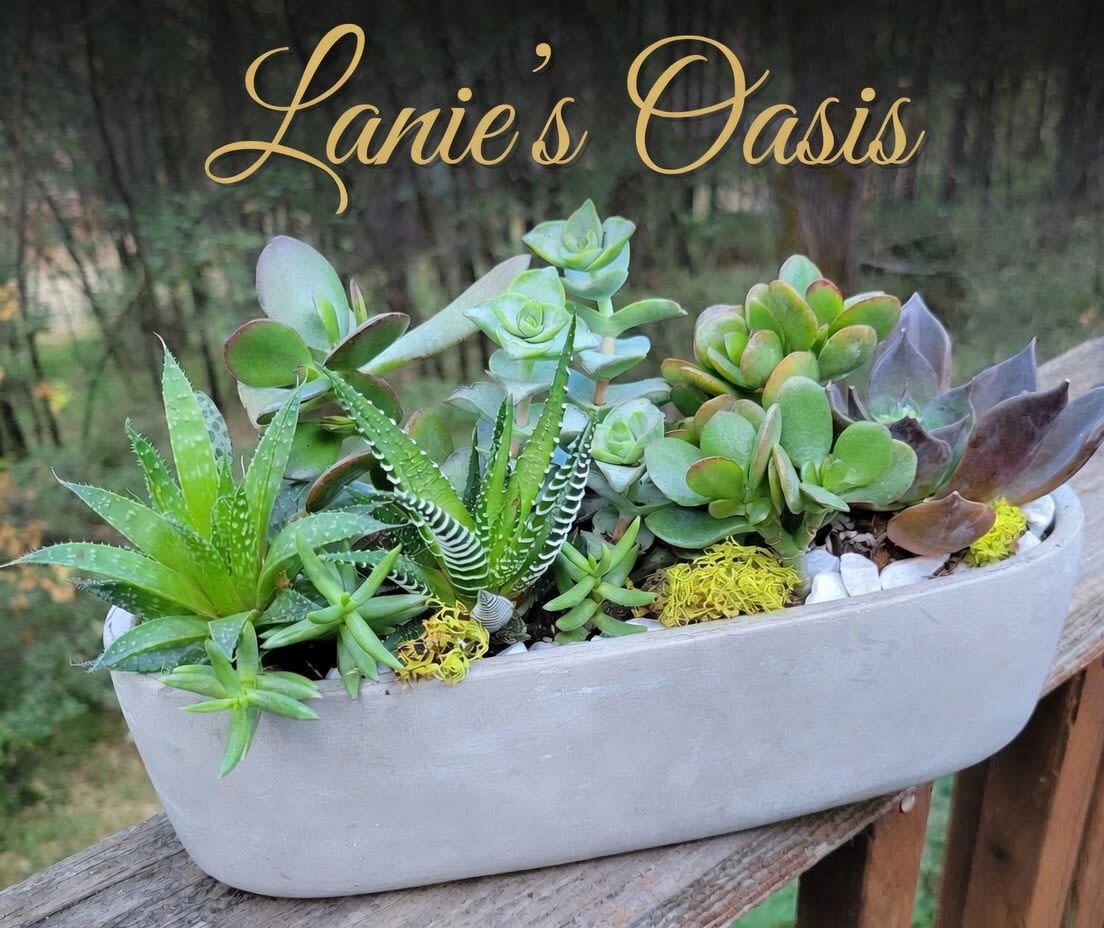 Succulent arrangement in a white oval planter with mixed green and purple plants