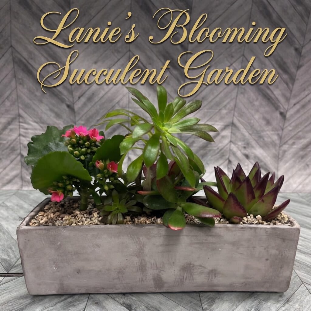Lanie's  Blooming Succulent Garden - Rectangle planter box, with mixed succulents.  Arrangement measures approximately 11"x 8"x5".