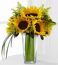 Sunflower arrangement in a tall clear glass vase