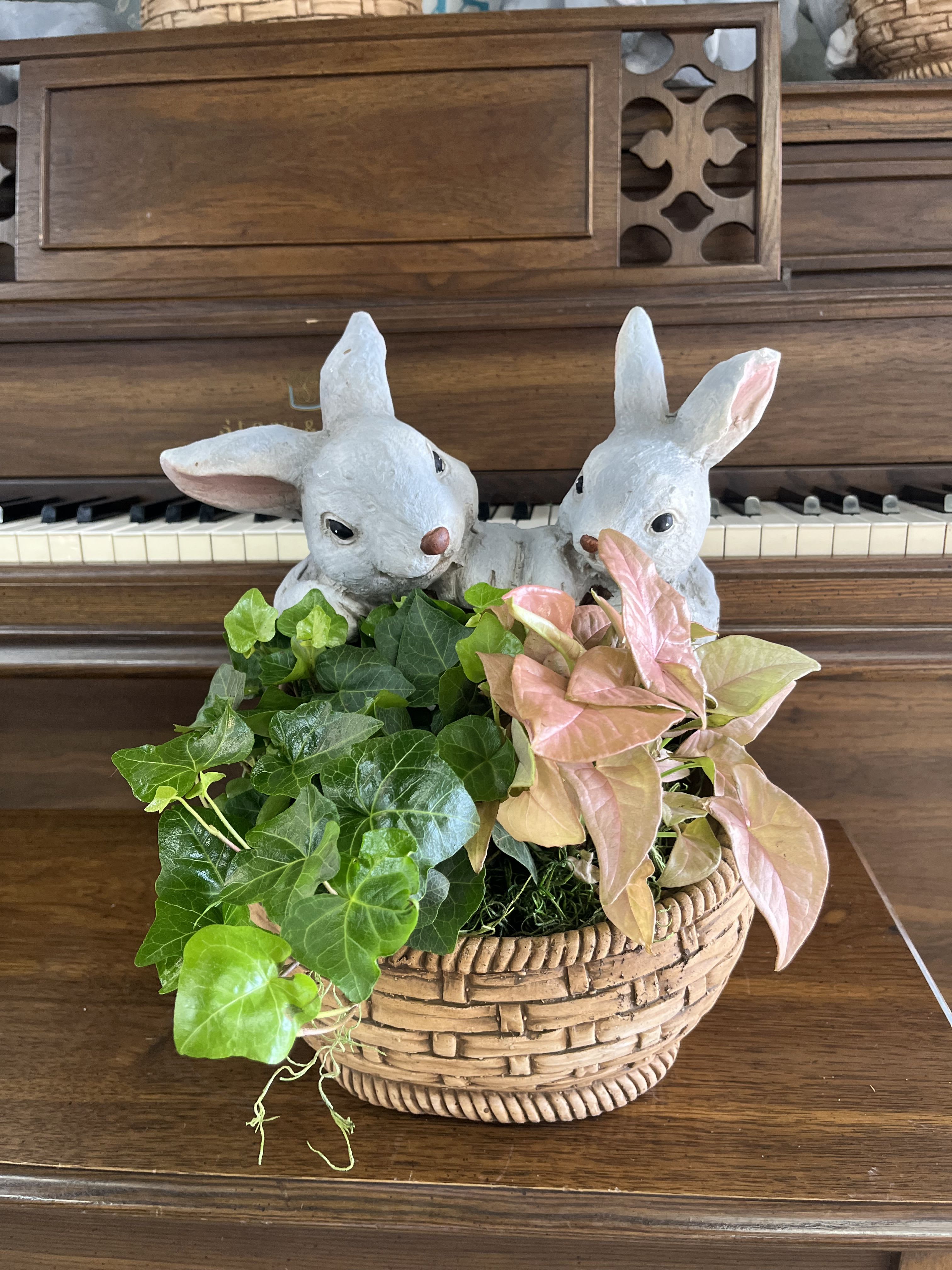 Hopping In The Garden  - A whimsical rabbit-shaped planter overflowing with variegated greenery makes this potted plant arrangement a nice gift. Just add a little card message and it’s ready to go to a new home.