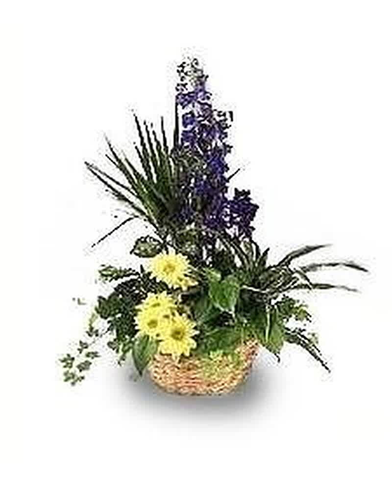 Tall basket garden with purple blooms, yellow daisies, and assorted plants