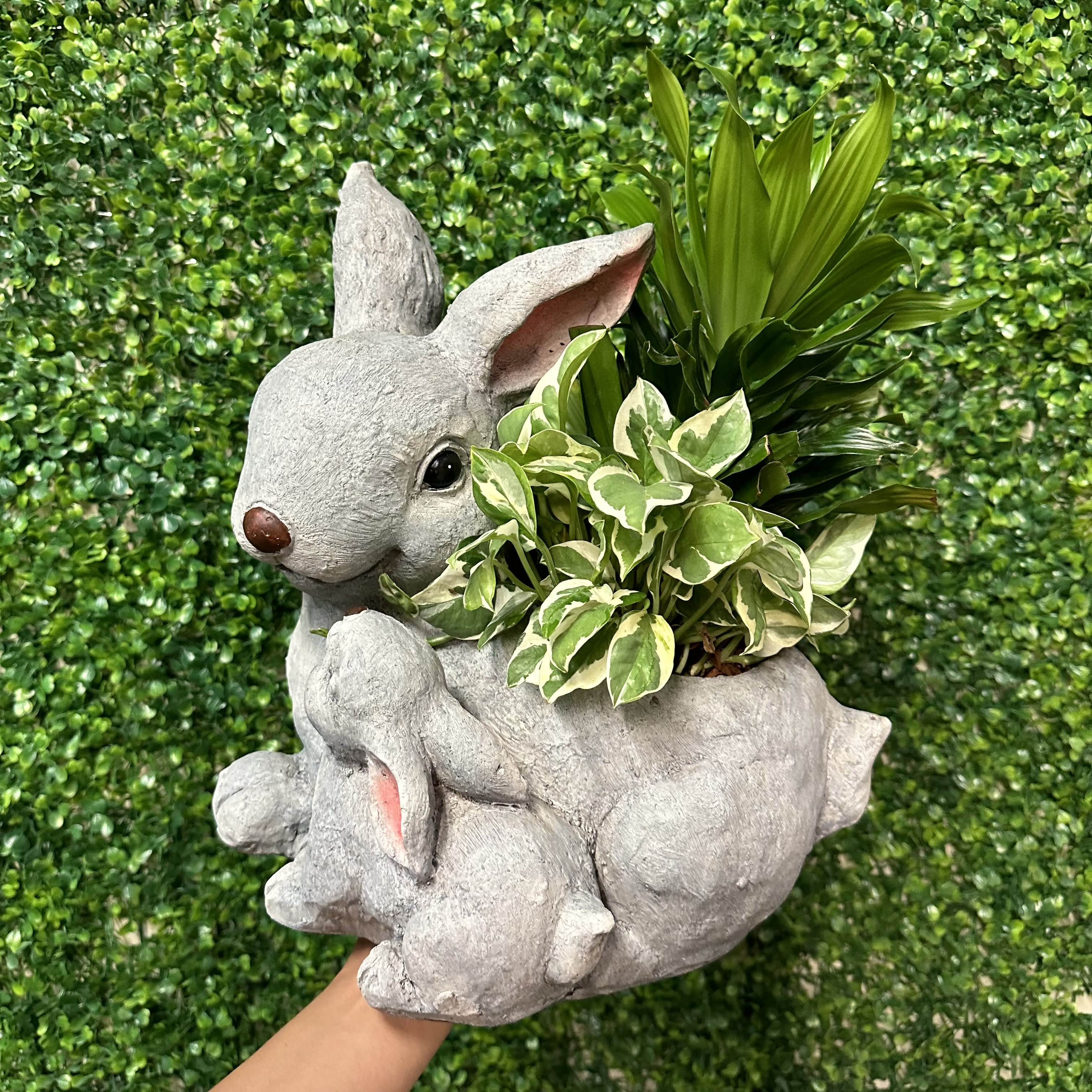 Gray rabbit planter holding a small variegated plant