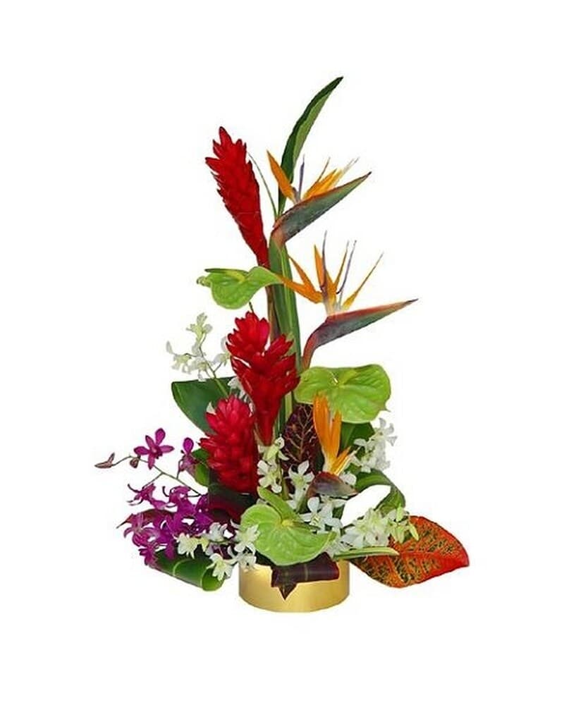 Tall tropical arrangement with red gingers, birds of paradise, orchids, and green anthuriums in a gold container