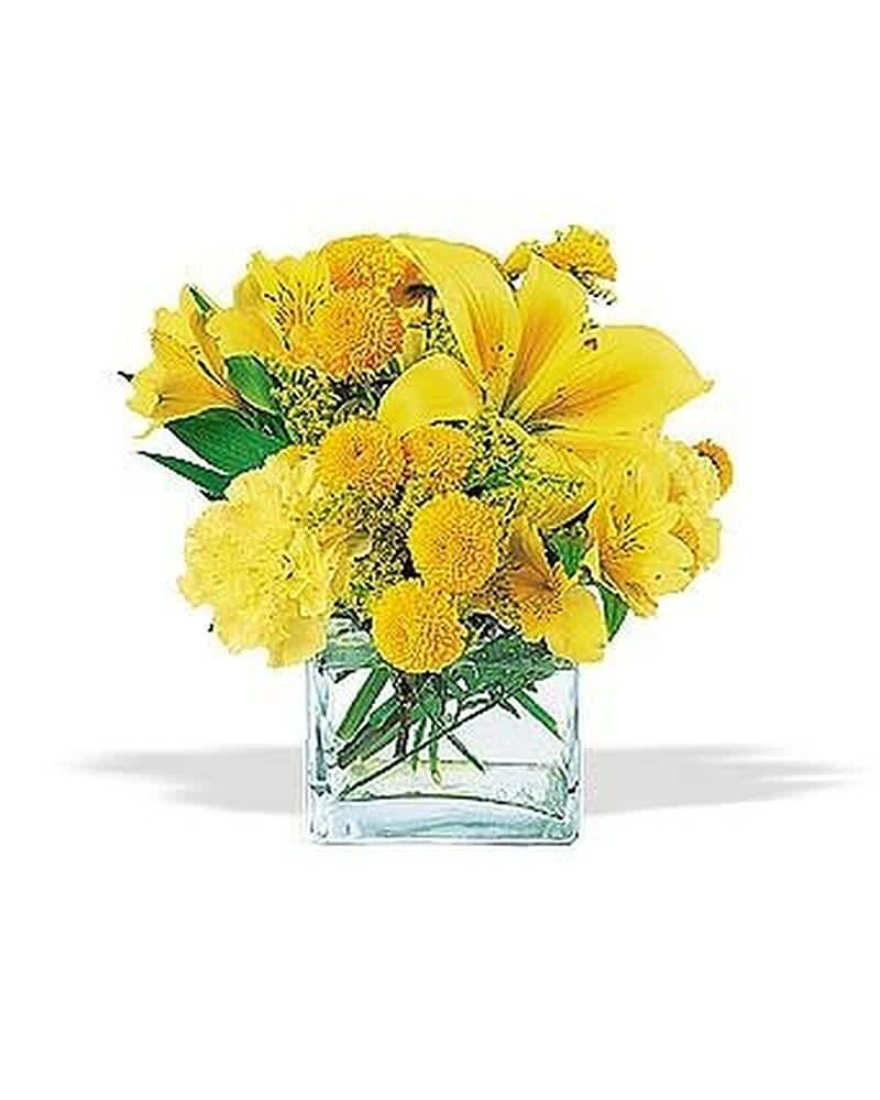 Compact arrangement of yellow lilies, carnations, and button mums in a clear glass cube vase