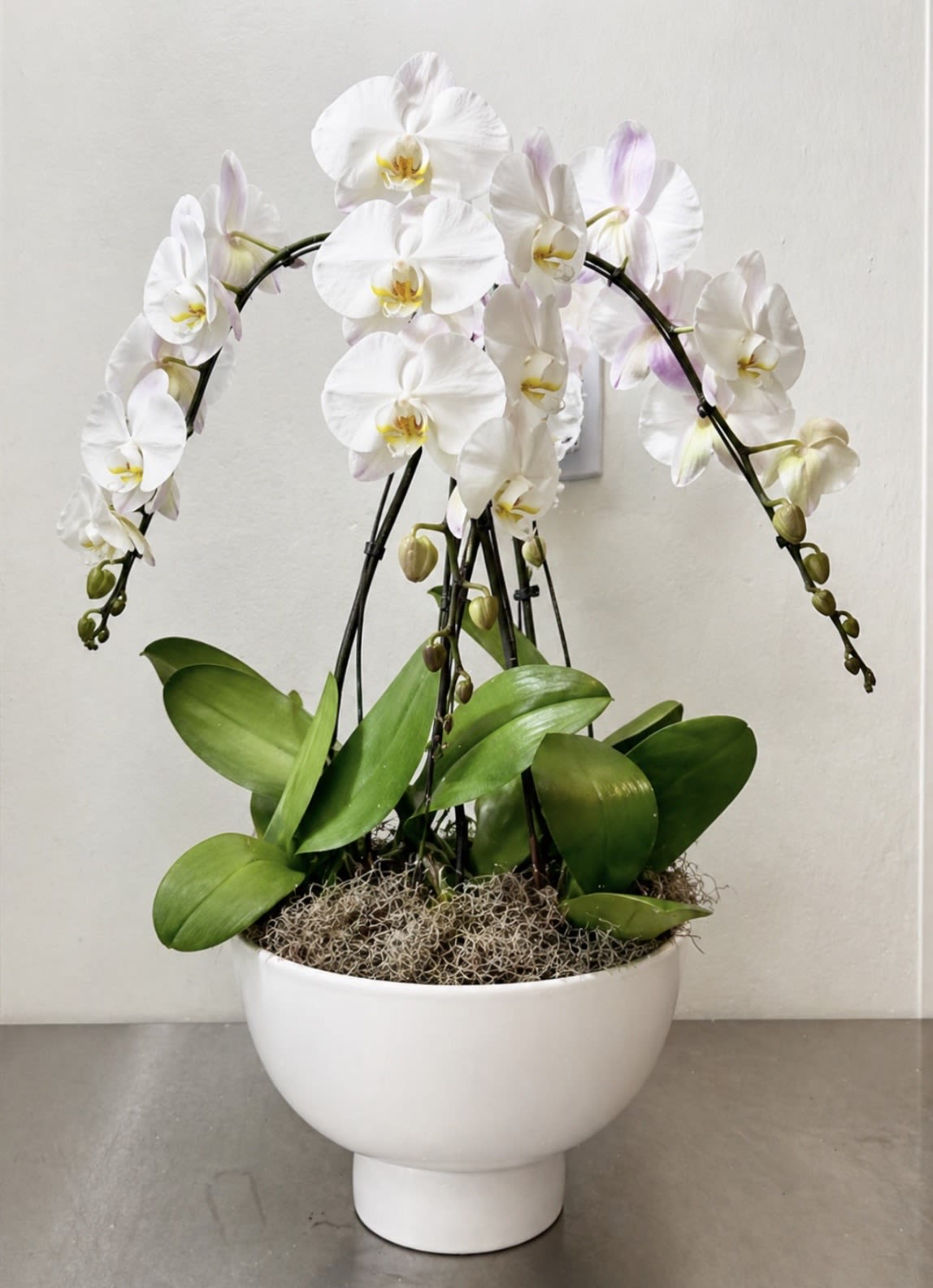 Arrangement with Phalaenopsis orchids  - 4 beautiful Phalaenopsis orchids in white or black ceramic pot. Please specify which color of pot you want in special instructions section. 