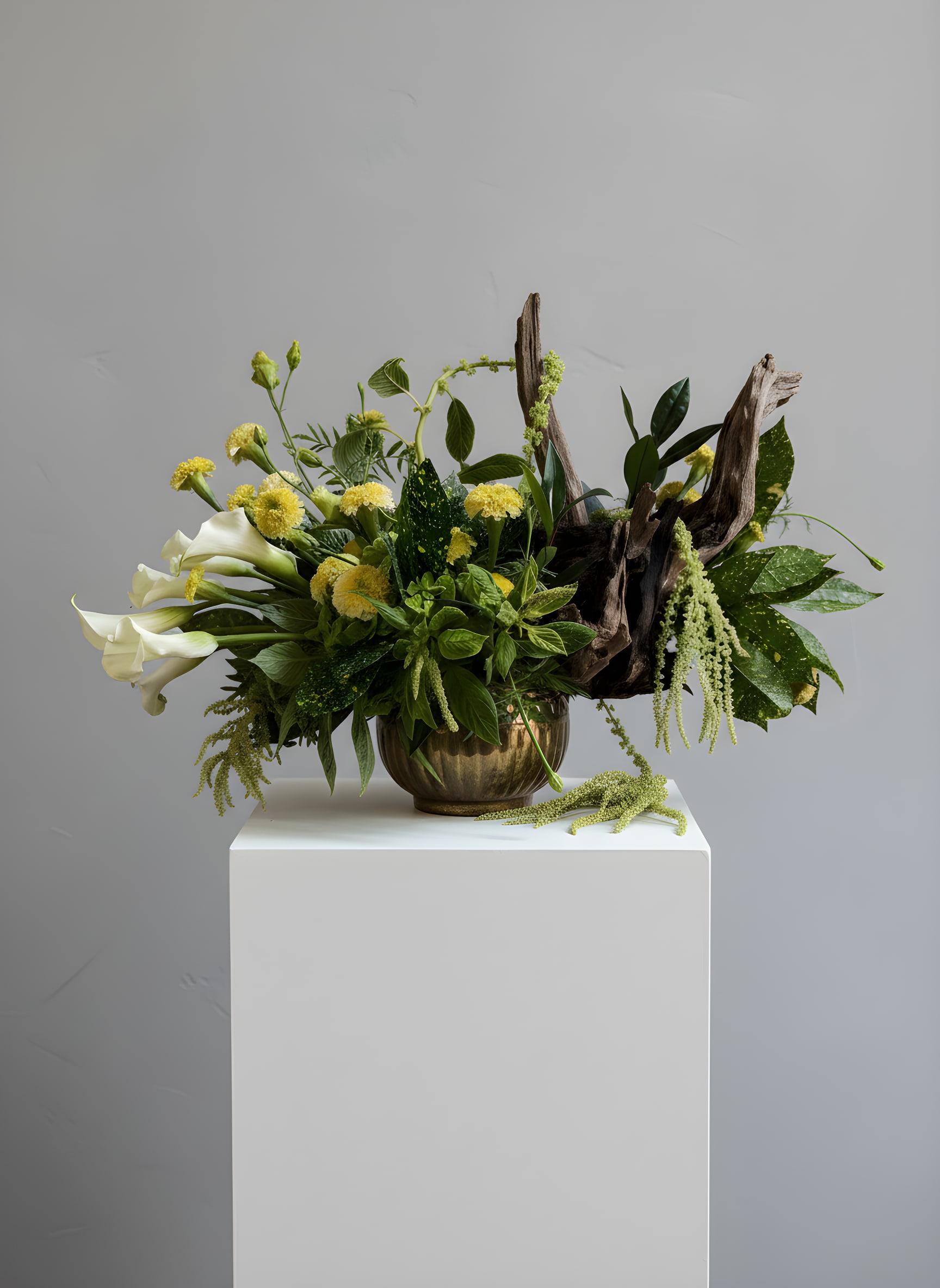 A Botanist's Love - Because flowers follow the rhythm of the seasons, availability changes often. Your arrangement may vary from the photo, and some varieties may differ. We design with the freshest blooms available, making substitutions when needed—while always preserving the overall mood: fresh, artful, and beautifully composed.  For specific flower or color requests, please contact us before ordering.