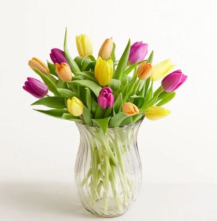 Assorted Tulip -  Pet Friendly? No Tulips contain allergenic lactones which are toxic to household pets. If ingested, they can cause irritation or more serious distress in cats and dogs. Keep out of reach; avoid homes with curious cats.   Human Allergy Note No major allergy-triggering flowers noted. As a precaution, keep the water fresh to prevent mold growth which can trigger sensitivities.   Care &amp; Longevity To keep your tulips looking their best, trim the stems at a 45-degree angle before placing them in the vase. Use cool, fresh water and change it every two days to prevent bacteria buildup. Tulips continue to grow and “stretch” toward the light after being cut, so keep them away from direct sun, heat vents, or drafty windows to maximize their vase life.   Best Occasions &amp; Situations  Birthday surprise  Romance/anniversary gesture  Just because to brighten their day  Get well/comfort wishes  Congrats/celebration for milestones ‍ Graduation flower gift  Flower crowns or spring décor inspiration  Thinking of you moments  Why Customers Love It Vibrant color balance that brightens any room instantly. Gift-ready presentation in a beautiful, reusable fluted glass vase. Fresh, seasonal feel that celebrates the best of spring blooms. Simple, elegant silhouette that fits perfectly on a desk or side table.