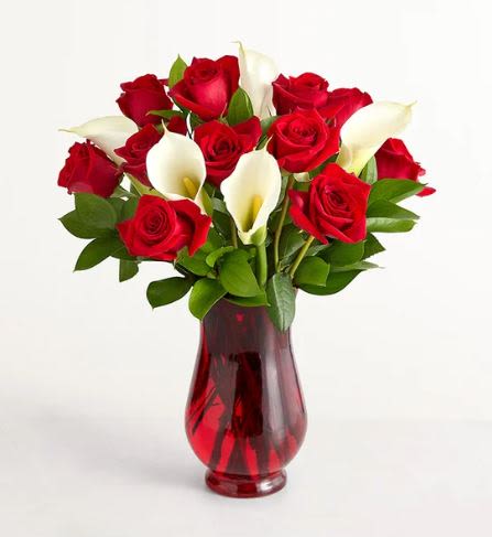 Red Rose &amp; Calla Lily -  Pet Friendly? No This arrangement contains Calla Lilies, which are toxic to both dogs and cats. They contain insoluble calcium oxalates that can cause severe mouth irritation and swelling if ingested. Keep out of reach; avoid homes with curious cats.    Human Allergy Note This arrangement contains Red Roses and Calla Lilies, which produce pollen that may affect sensitive individuals. To minimize irritation, keep the flowers in a well-ventilated area and avoid placing them near bedding or pillows.   Care &amp; Longevity To keep your blooms fresh, trim the stems at a 45-degree angle upon arrival and place them in a clean vase with room-temperature water. Change the water every two days, ensuring the vase is scrubbed clean to prevent bacteria growth. Keep the arrangement away from direct sunlight, heating vents, and ripening fruit to extend the life of the delicate rose petals. ️   Best Occasions &amp; Situations  Romantic Anniversary  Milestone Birthday  Professional Congratulations  Elegant Proposal  Sophisticated Get Well  Formal Sympathy Tribute  ⭐ Why Customers Love It Striking Contrast: The bold red and crisp white palette offers a high-end look. Premium Quality: Features two of the most sought-after luxury blooms in the industry. Gift-Ready: Arrives in a beautiful ruby-red glass vase that can be reused. Versatile Style: Fits perfectly in both modern and traditional home decor.