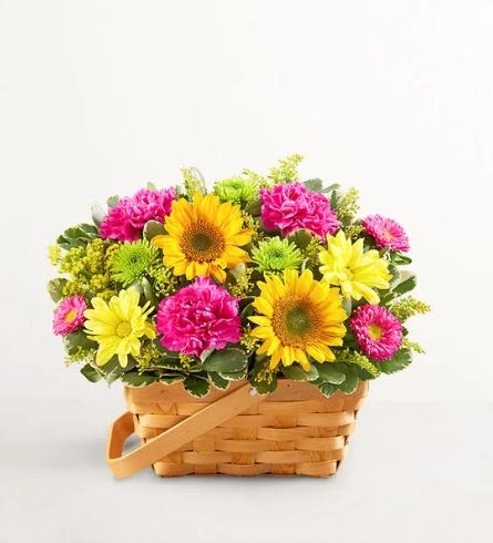 Sunny Garden Basket -  Pet Friendly? No This arrangement contains Fuji Mums and Asters, which are toxic to both dogs and cats if ingested. Keep this basket on a high counter or shelf to ensure it stays out of reach of household pets.    Human Allergy Note This arrangement contains Sunflowers and Mums, which are known to carry high amounts of pollen. For those with sensitivities, keep the basket in a well-ventilated area and avoid placing it on bedside tables.   Care &amp; Longevity To keep these blooms fresh, add a small amount of room-temperature water to the center of the basket daily to keep the floral foam saturated. Avoid placing the arrangement in direct sunlight or near heating vents. As individual blooms like the asters begin to fade, gently pinch them off to keep the rest of the basket looking vibrant.   Best Occasions &amp; Situations  Bright birthday surprise  Get well and recovery wishes  Congratulations on a new achievement ️ A “sunny day” housewarming gift  Welcoming a new baby  Thinking of you/Just because  Why Customers Love It Vibrant Color Palette: The mix of primary colors creates an instant mood boost. Gift-Ready Container: The charming woven basket requires no prep from the recipient. Textural Variety: Features a beautiful contrast between spiked delphinium and ruffled carnations. Compact Design: Fits perfectly on a kitchen table or office desk without taking up too much space.