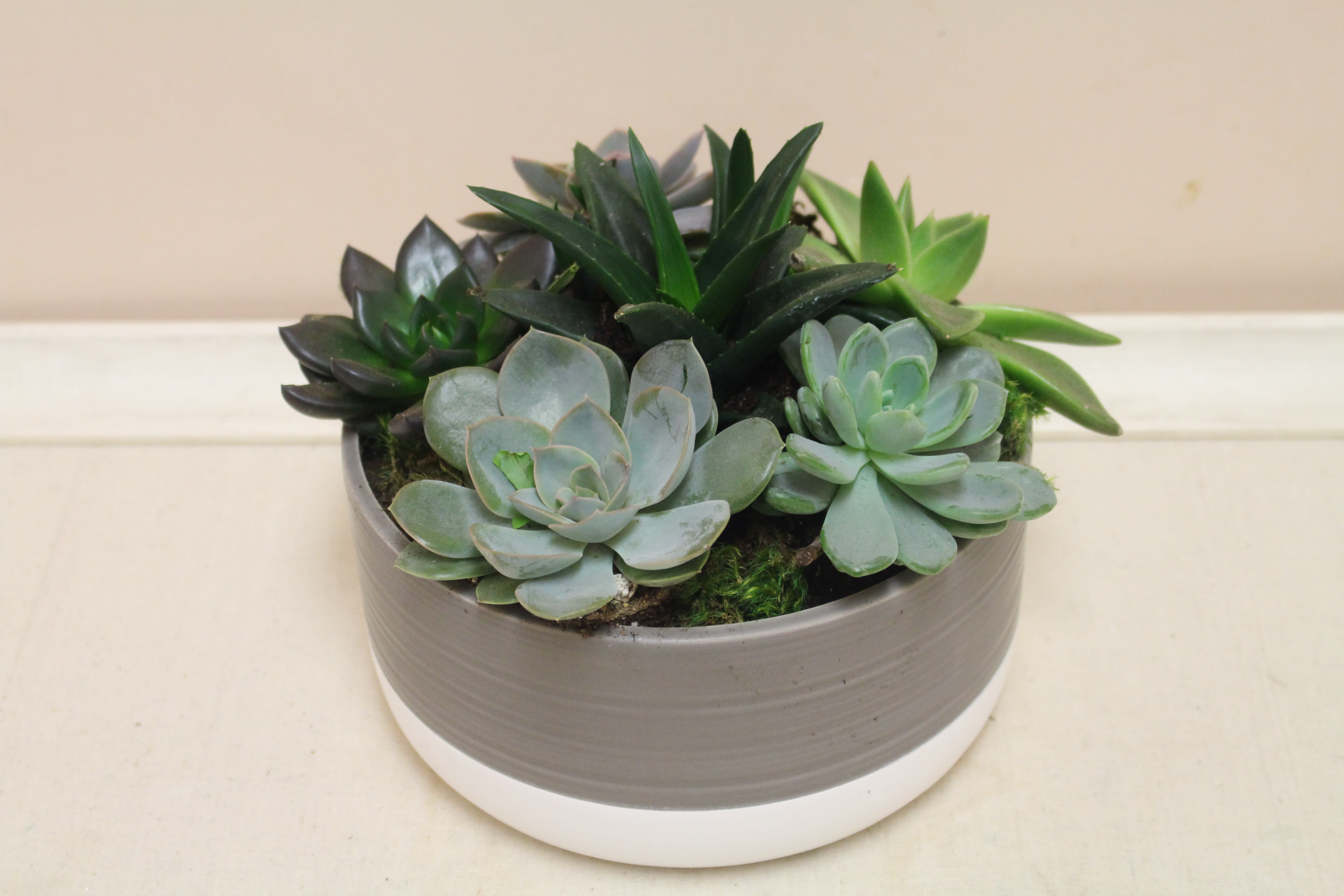 Succulent Garden  - Inspired by the natural elegance of the desert, this gorgeous succulent garden in a sleek, weathered slate pot is a lovely, long-lasting addition to any room! 