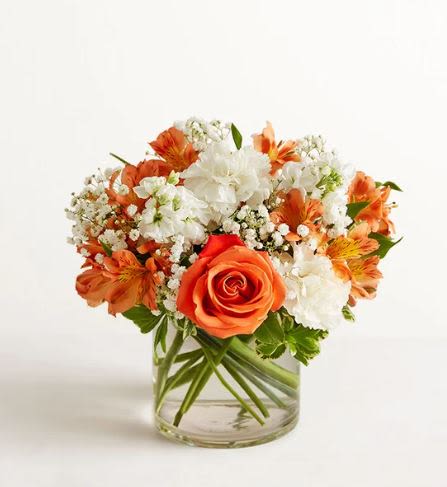 Sweet Citrus Flower  -  Pet Friendly? Use Caution. Carnations may be toxic to pets (dogs and cats). Keep blooms out of reach of curious household pets.   Human Allergy Note No major allergy-triggering flowers noted. Keep the bouquet in a well-ventilated area if allergy sensitivities are a concern.   Care &amp; Longevity Trim stems and change water every 2–3 days. Keep away from direct sunlight, heat vents, and drafts. Refresh water frequently and remove fading blooms to extend life. For this cylinder vase design, keep water level appropriate and change promptly.   Best Occasions &amp; Situations  Birthday celebrations  Congratulations on a new job  Get well wishes  Thinking of you  Housewarming gift  Office desk brightening ️ Summer brunch centerpiece  Why Customers Love It Vibrant Color Palette: The bold orange and white contrast is instantly uplifting. Long-Lasting Blooms: Features hardy varieties like Carnations and Alstroemeria. Gift-Ready: Arrives professionally designed in a glass vase for immediate display.  Versatile Style: Fits perfectly in both modern and traditional home interiors.