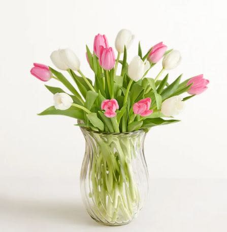 Sweet Spring Tulip Flower  -  Pet Friendly? No According to the ASPCA, Tulips contain compounds that are toxic to both cats and dogs, particularly if the bulb or stem is ingested.  Keep this arrangement out of reach or avoid homes with curious household pets.   Human Allergy Note No major allergy-triggering flowers noted. As a general precaution, keep fresh water in the vase to prevent mold growth and maintain a well-ventilated space.   Care &amp; Longevity To keep your blooms vibrant, trim the stems at a 45-degree angle under water before placing them in the vase. Clean the container and provide fresh, cool water daily, as these flowers are “thirsty” drinkers. Avoid placing the arrangement in direct sun, near heat sources, or under cooling vents. As individual blooms fade, remove them to keep the rest of the bouquet healthy.    Best Occasions &amp; Situations  Brightening a birthday brunch  Sending “Get Well” wishes  Welcoming a new baby girl  Celebrating a spring promotion  A “just because” romantic surprise  Adding a fresh touch to a home entryway  Why Customers Love It Vibrant color balance between the soft white and “pop” of pink. Arrives in a gift-ready presentation with a reusable fluted vase. Versatile design that fits both modern and traditional decor. Exceptional fresh-from-the-field feel that signals the start of spring. 