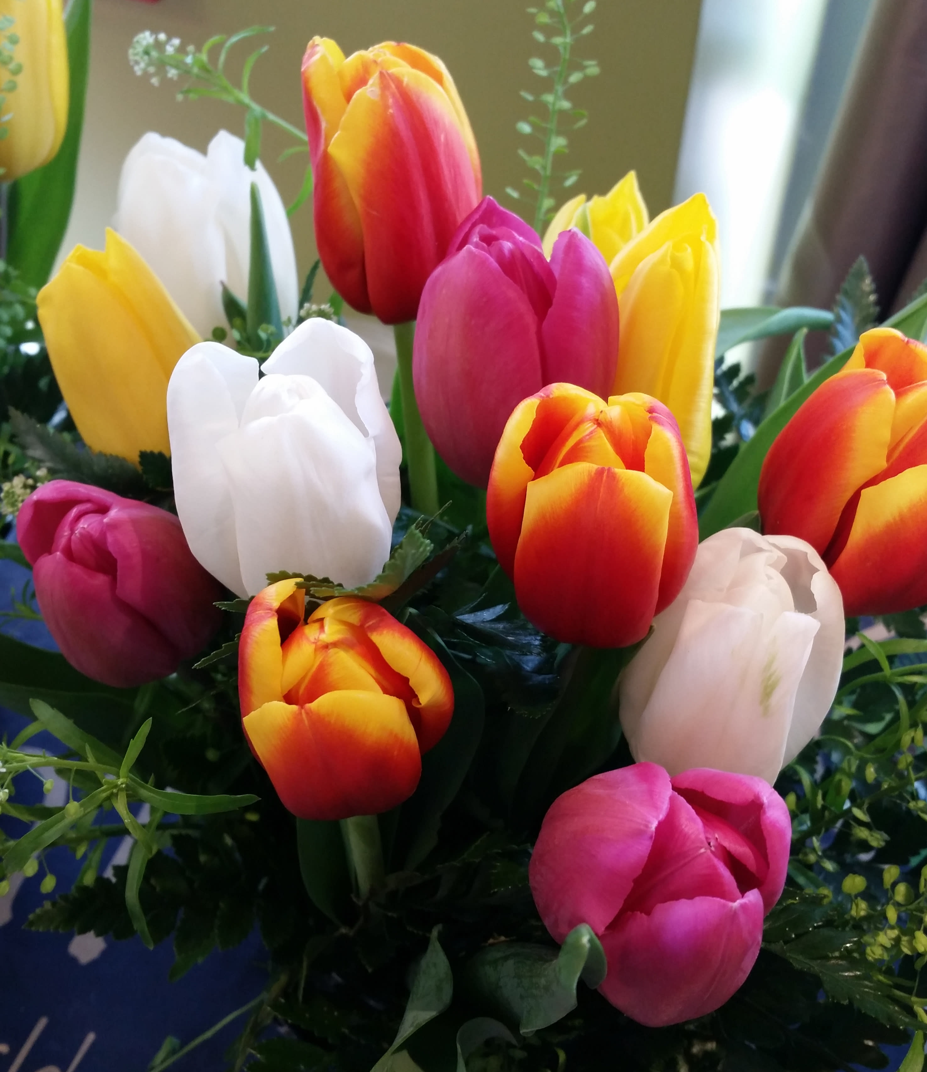 Bouquet of multicolored tulips in pink, yellow, white, and orange-red