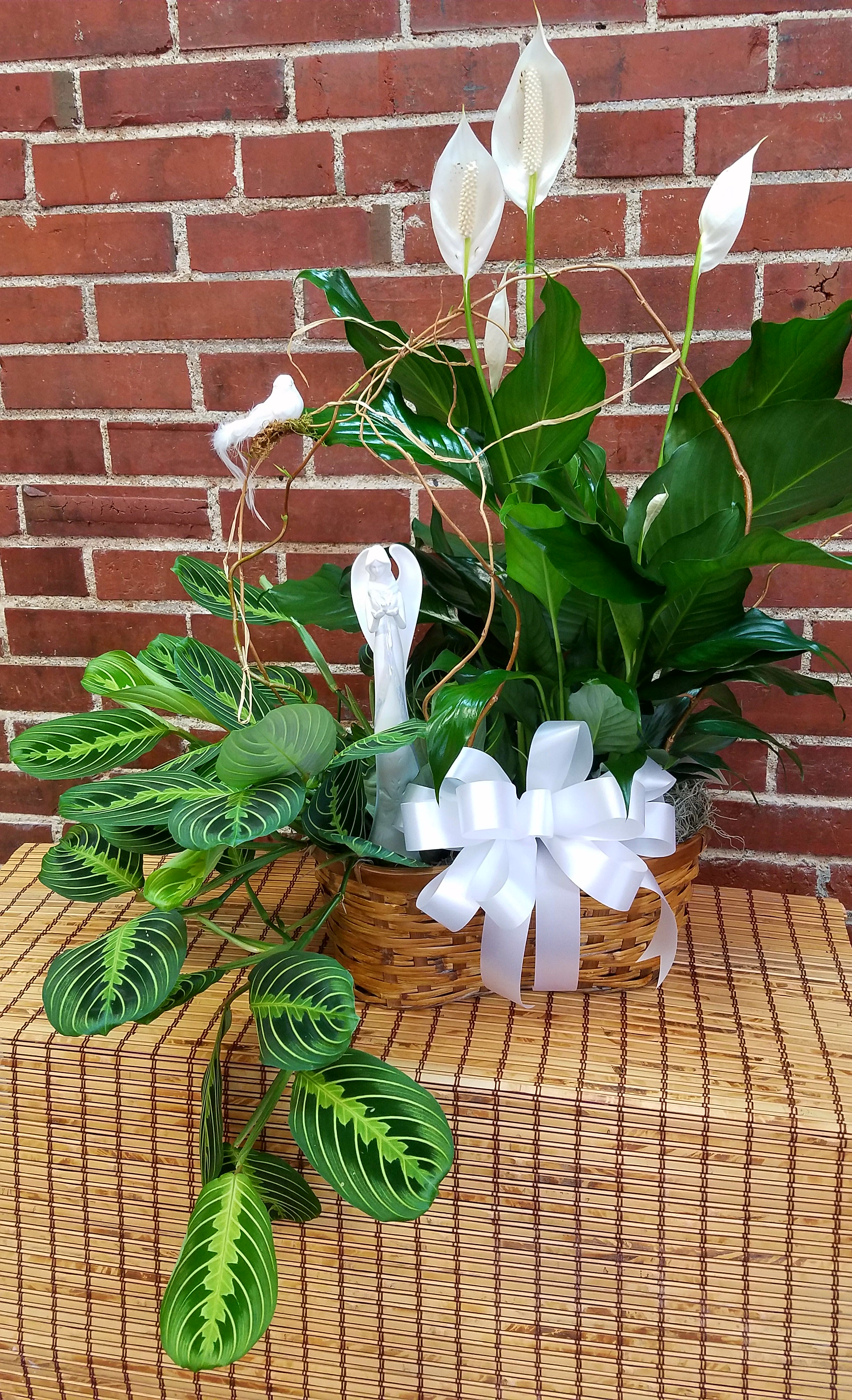 Basket arrangement of white peace lilies and trailing green foliage with a white bow