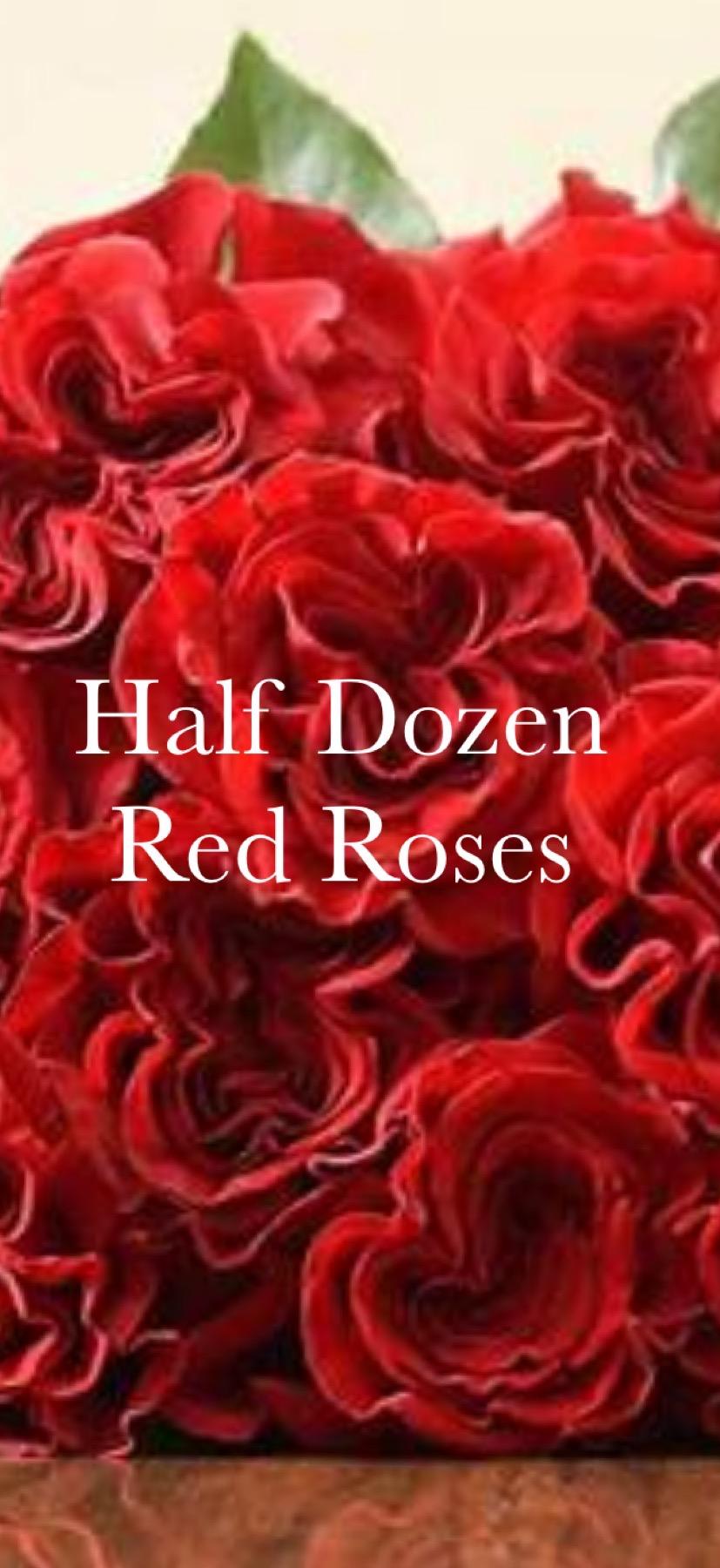 Half dozen red roses in a close-up bouquet