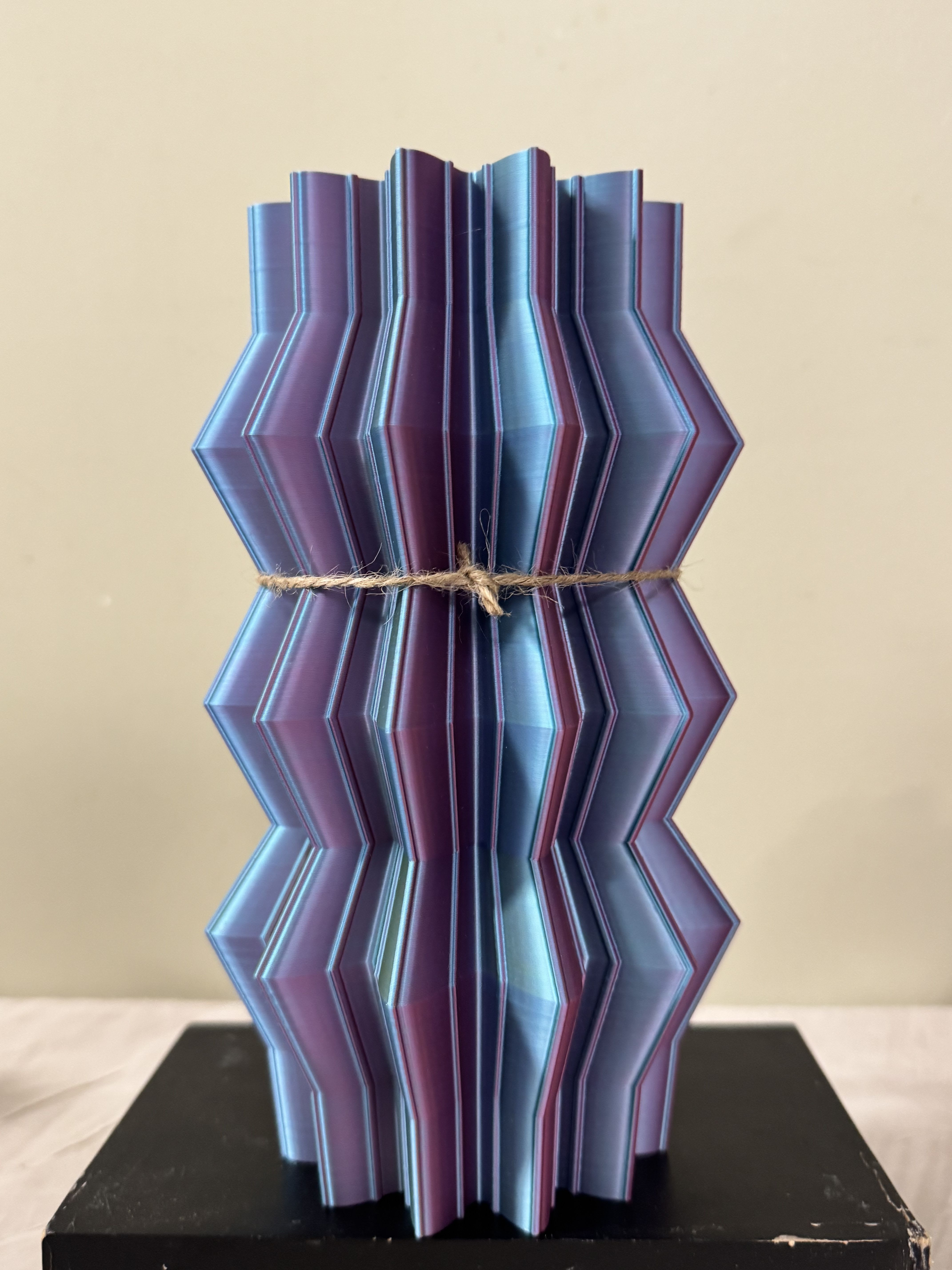 3D Vase Color Changing  - This product is manufactured using 3D printing, an energy-efficient process that enables on demand production while significantly reducing waste compared to traditional manufacturing methods.  Made with a biodegradable polymer derived primarily from renewable resources such as corn, sugarcane, and beets.  These raw materials are fermented to produce lactic acid, which is then polymerized to form PLA.    -Vases are ideal for both fresh and dried flowers. -Not intended for food use.  -Not recommended for outdoor use in direct sunlight.   -Handle with care -100% waterproof.  ***This item will be shipped***